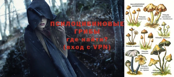 Альфа ПВП Абдулино