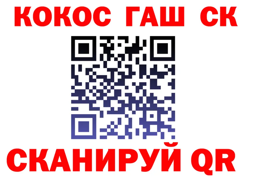 Альфа ПВП СК вход площадка блэк спрут Дмитровск